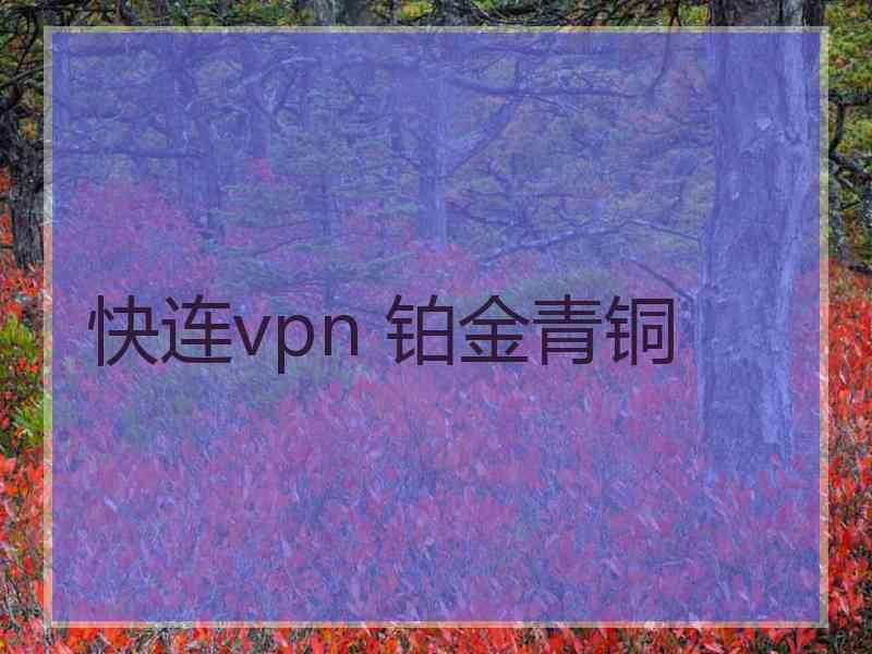 快连vpn 铂金青铜