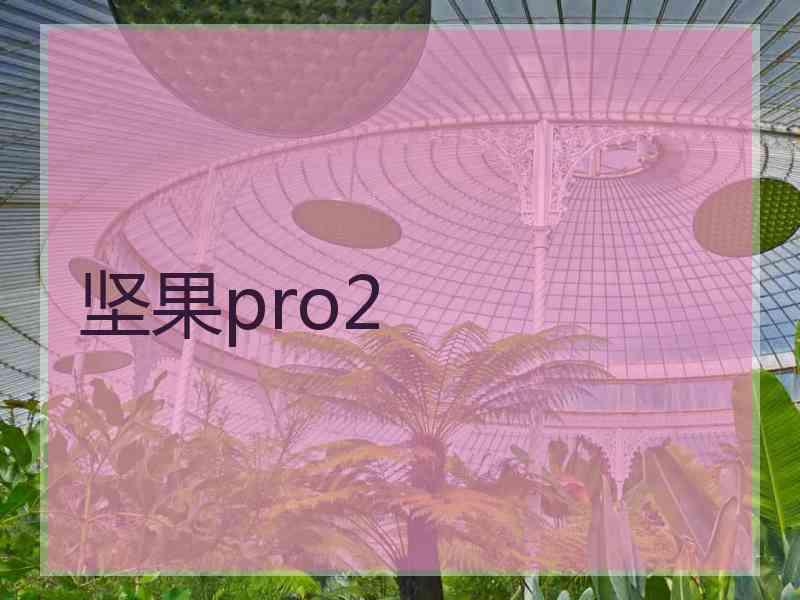 坚果pro2