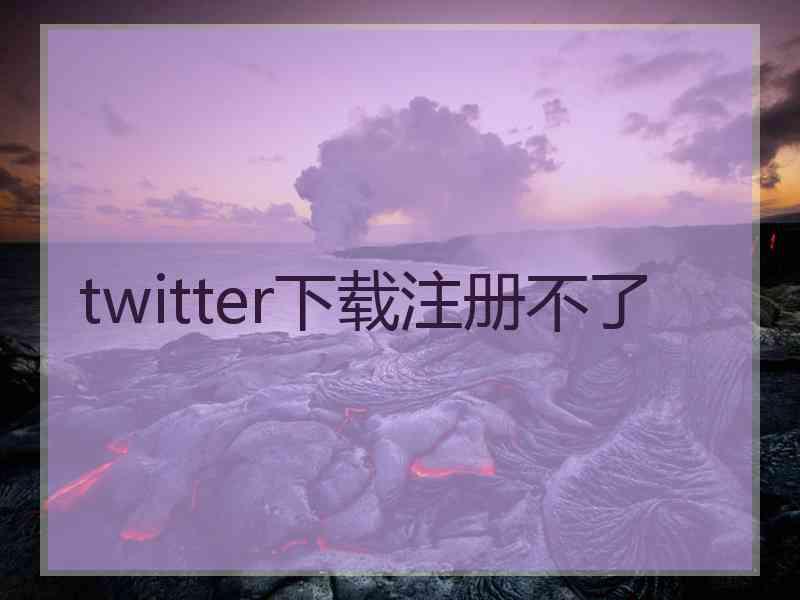 twitter下载注册不了