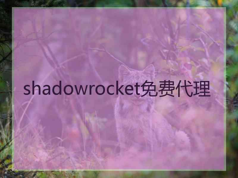 shadowrocket免费代理