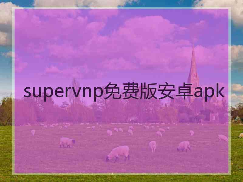 supervnp免费版安卓apk