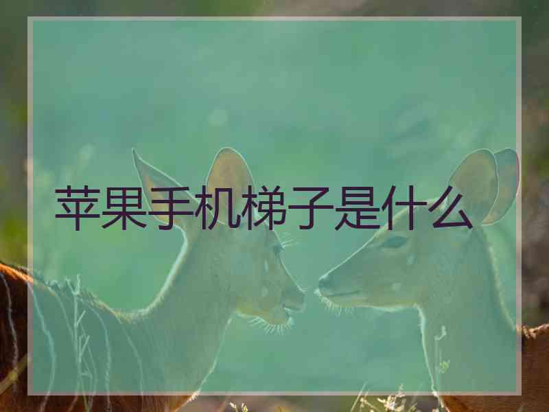 苹果手机梯子是什么