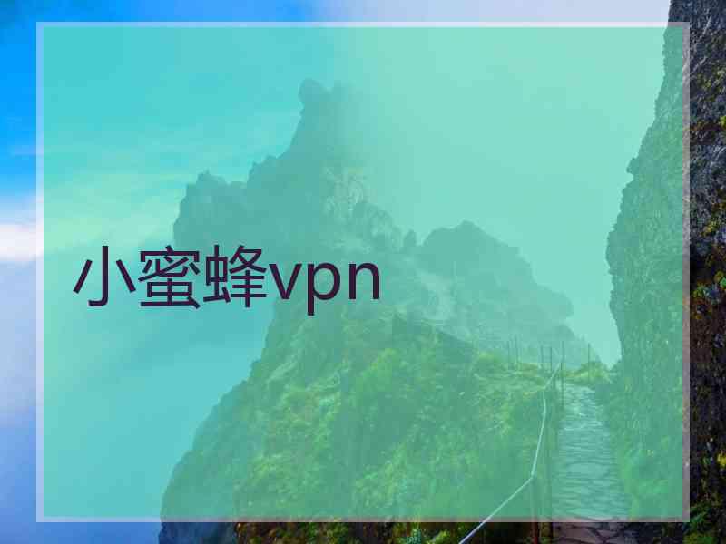 小蜜蜂vpn