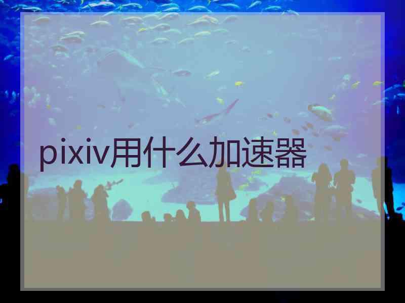 pixiv用什么加速器