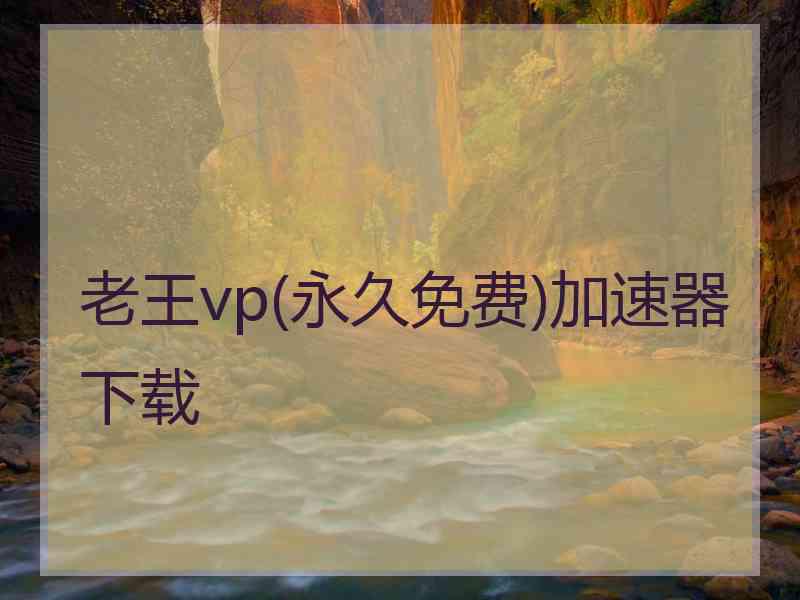 老王vp(永久免费)加速器下载