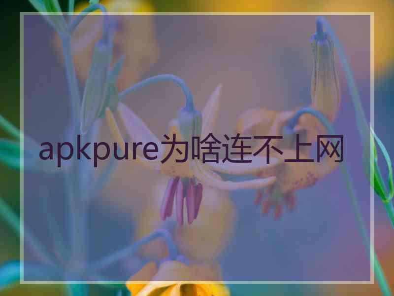 apkpure为啥连不上网