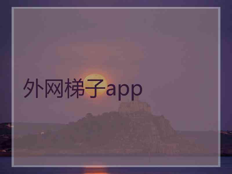 外网梯子app