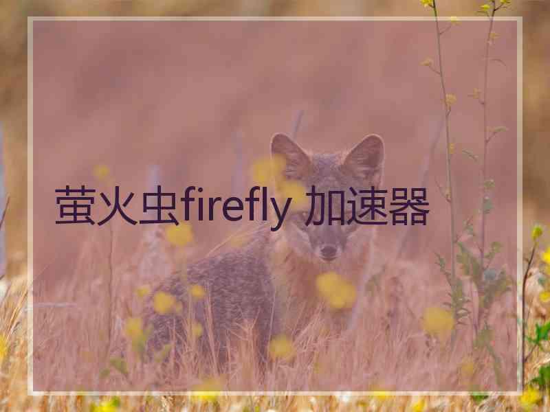 萤火虫firefly 加速器