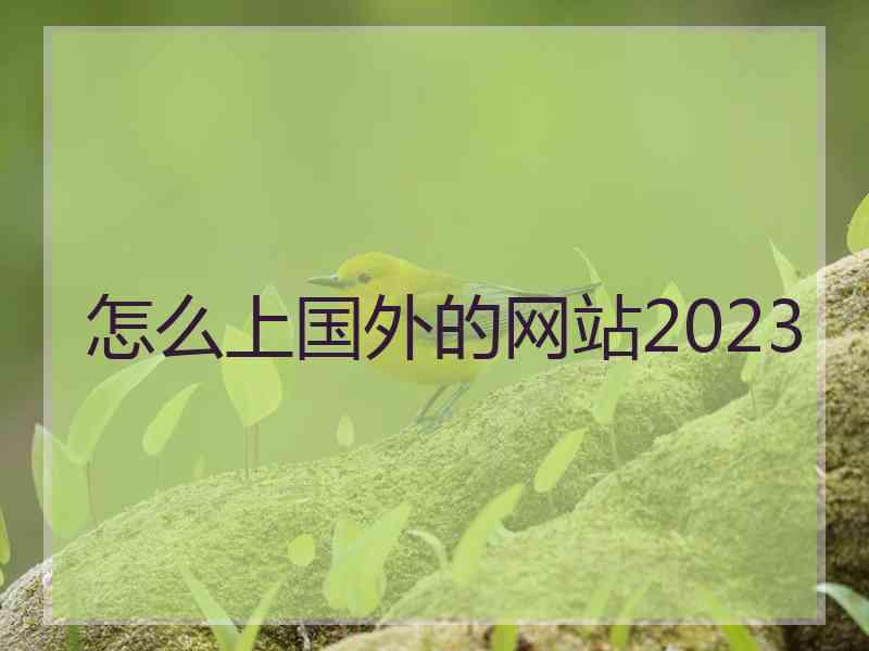 怎么上国外的网站2023