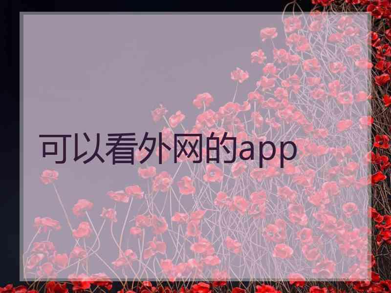 可以看外网的app