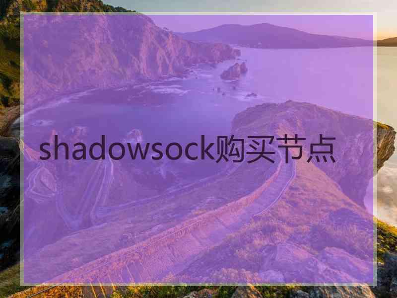 shadowsock购买节点