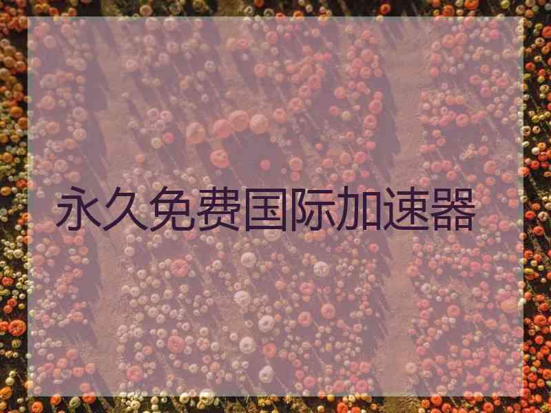 永久免费国际加速器