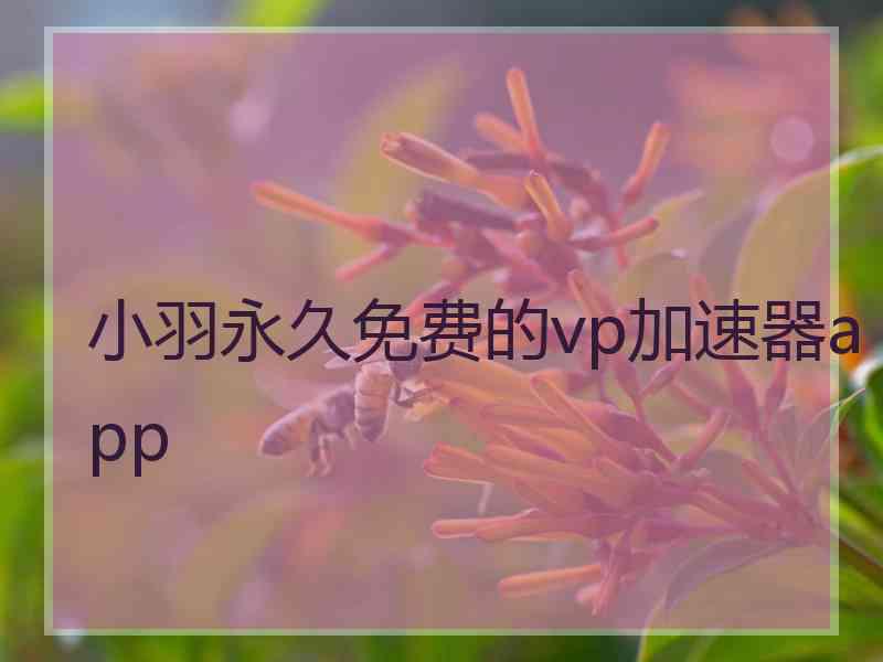 小羽永久免费的vp加速器app