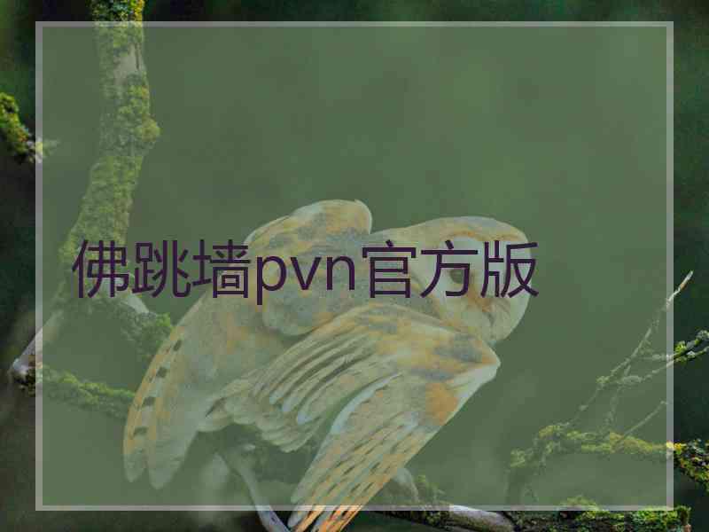 佛跳墙pvn官方版