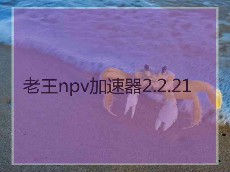 老王npv加速器2.2.21