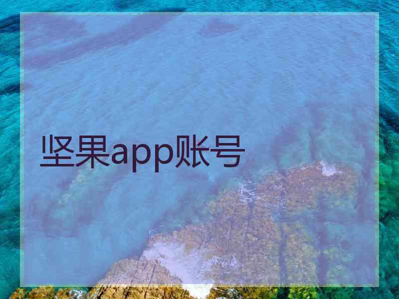 坚果app账号