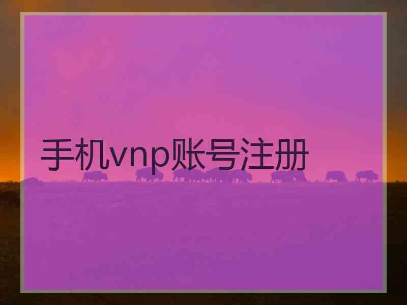 手机vnp账号注册