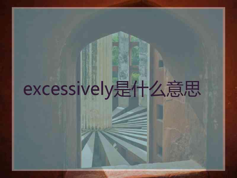 excessively是什么意思