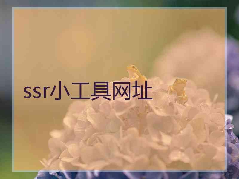 ssr小工具网址