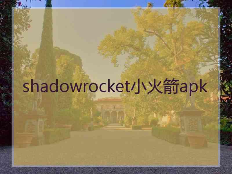 shadowrocket小火箭apk