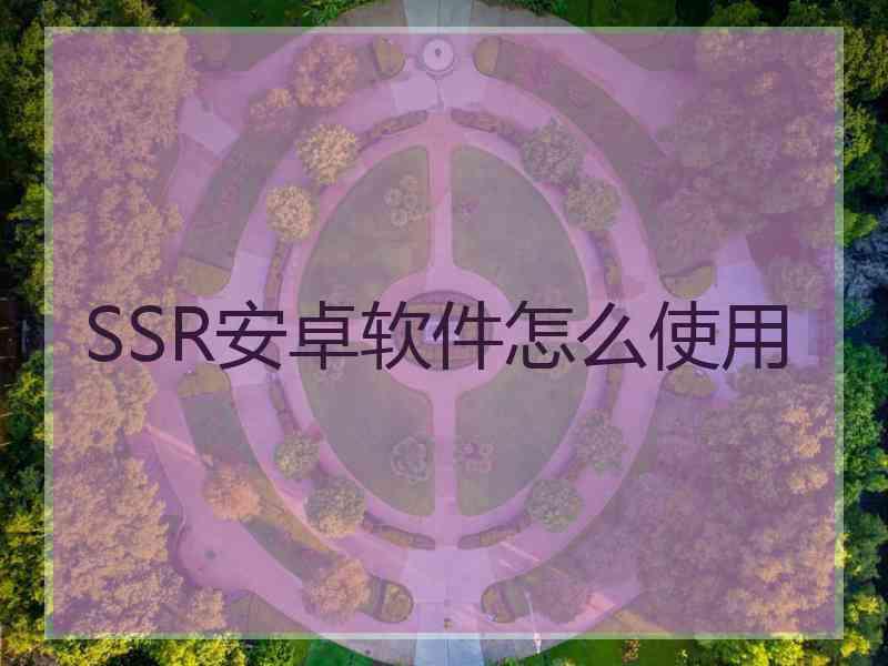 SSR安卓软件怎么使用