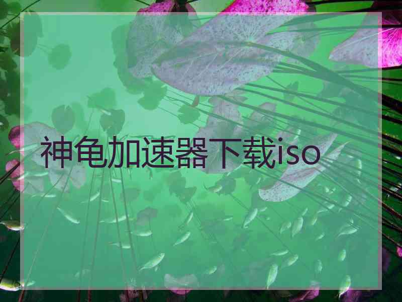 神龟加速器下载iso