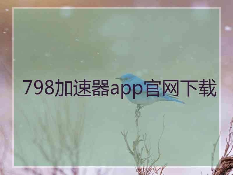 798加速器app官网下载