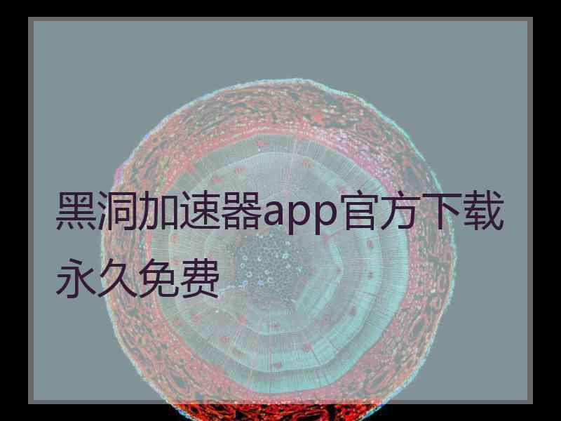 黑洞加速器app官方下载永久免费