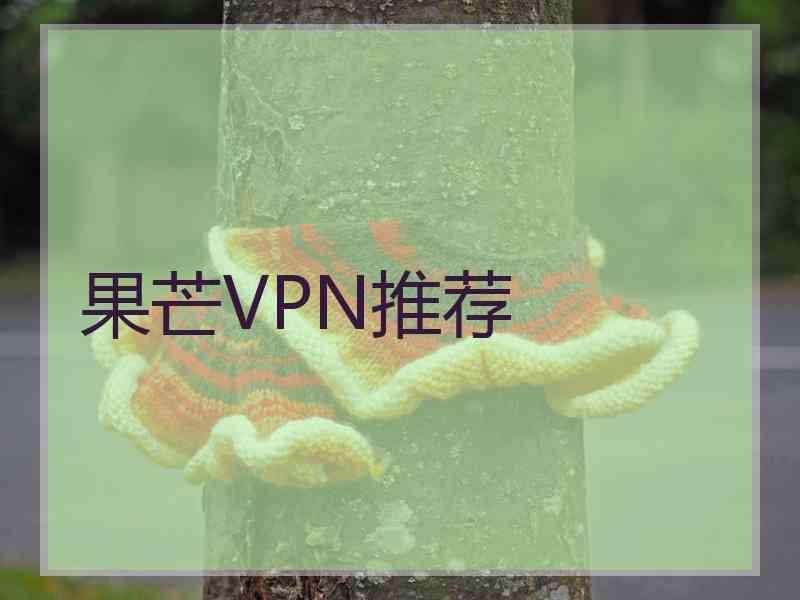 果芒VPN推荐