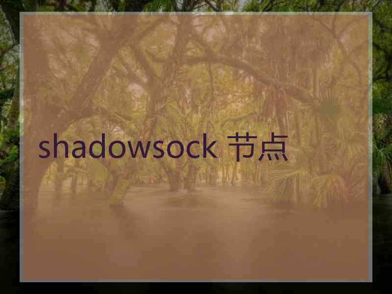 shadowsock 节点