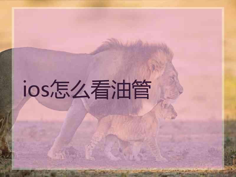 ios怎么看油管