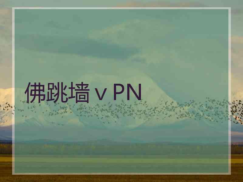 佛跳墙ⅴPN