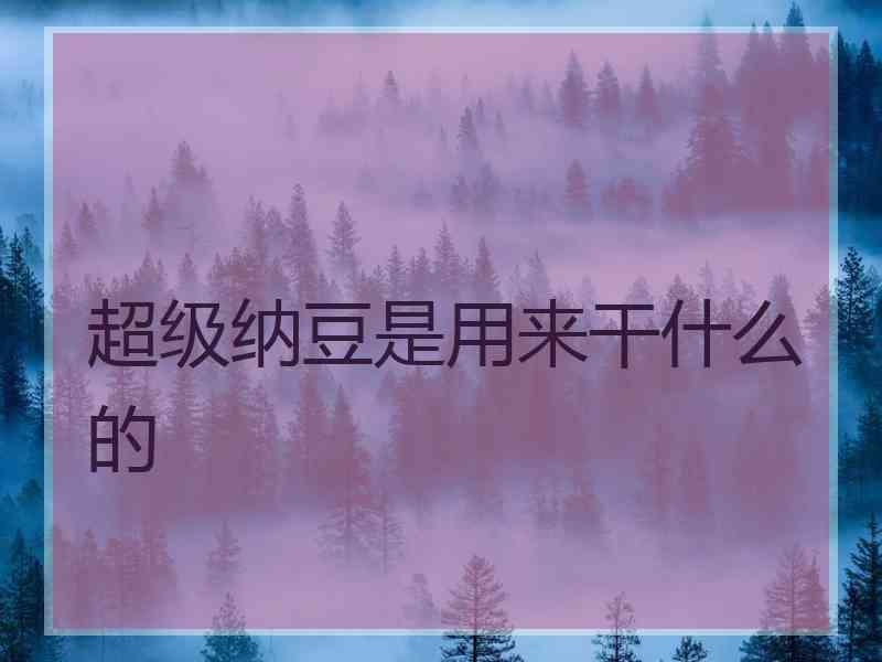 超级纳豆是用来干什么的