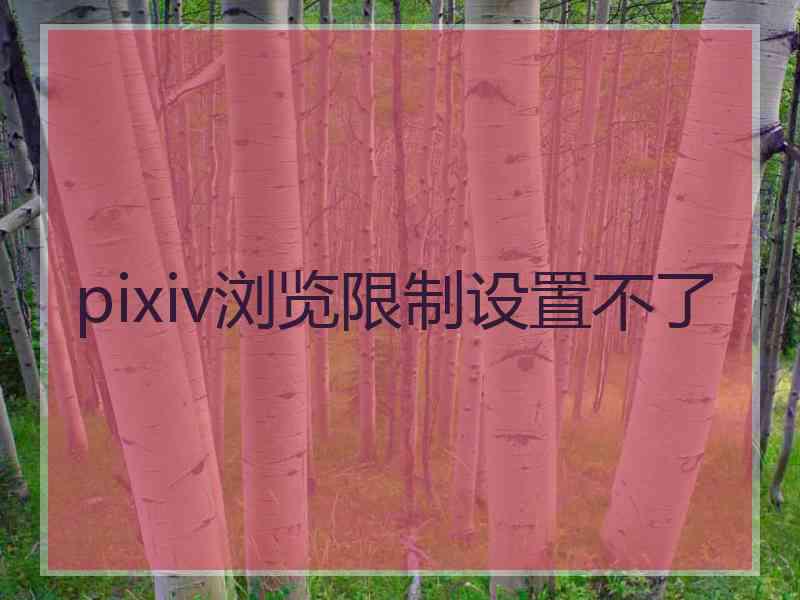 pixiv浏览限制设置不了