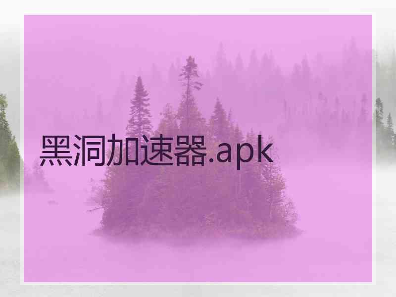 黑洞加速器.apk