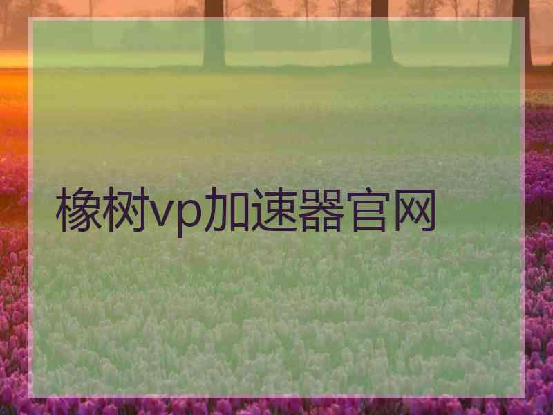 橡树vp加速器官网