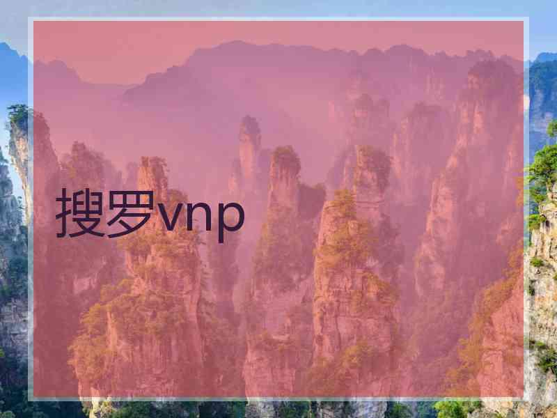 搜罗vnp