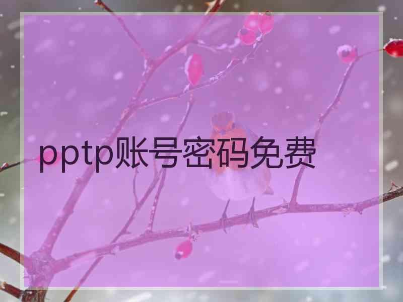 pptp账号密码免费