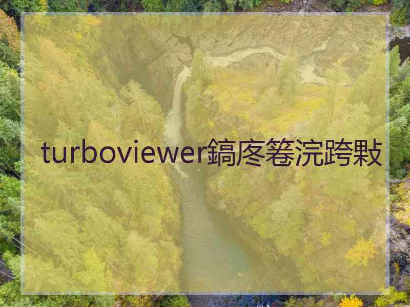 turboviewer鎬庝箞浣跨敤