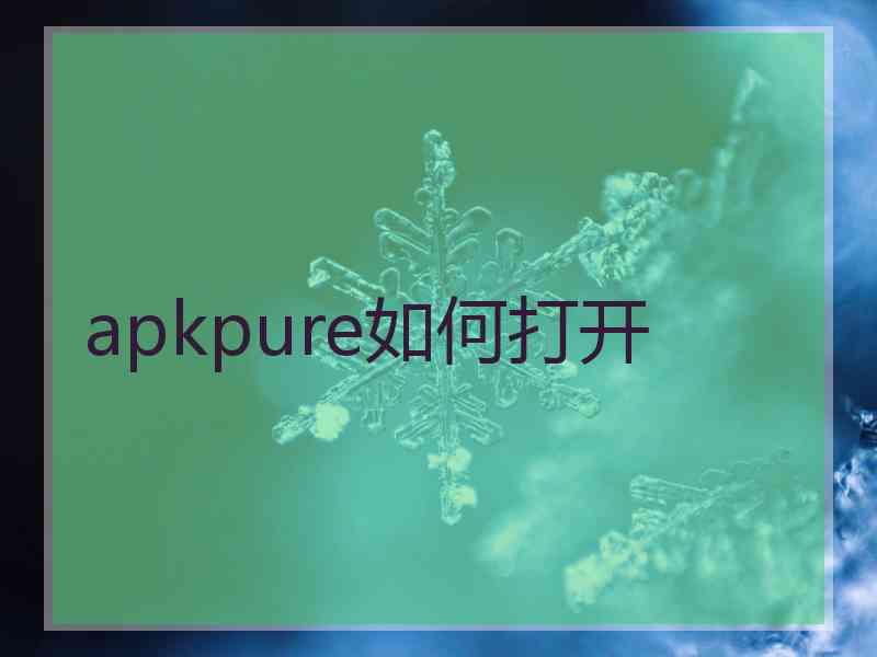 apkpure如何打开