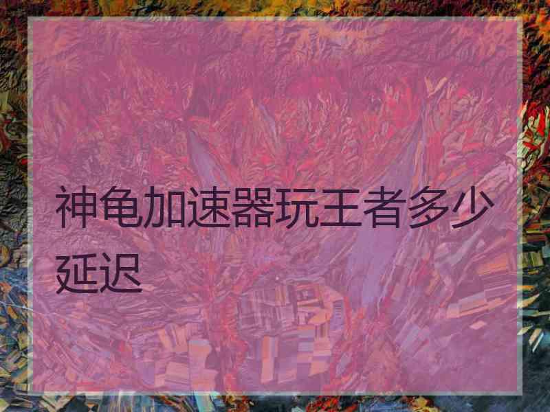 神龟加速器玩王者多少延迟