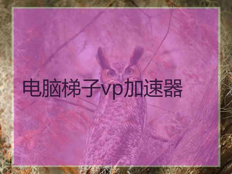 电脑梯子vp加速器