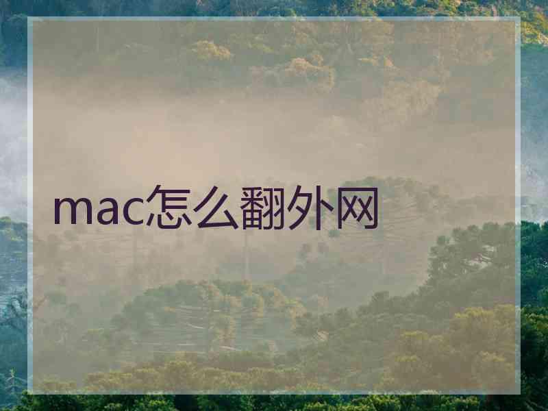 mac怎么翻外网