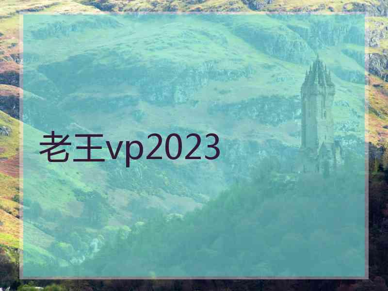 老王vp2023