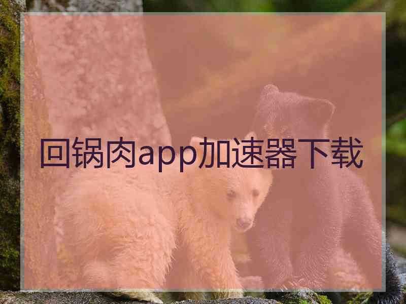 回锅肉app加速器下载