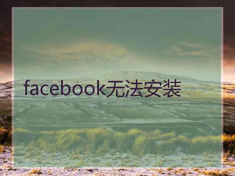 facebook无法安装