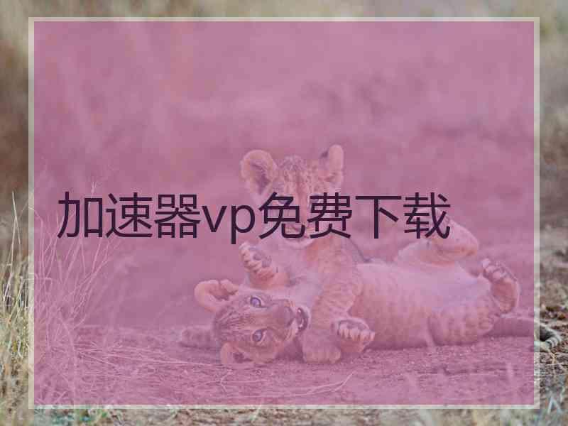 加速器vp免费下载