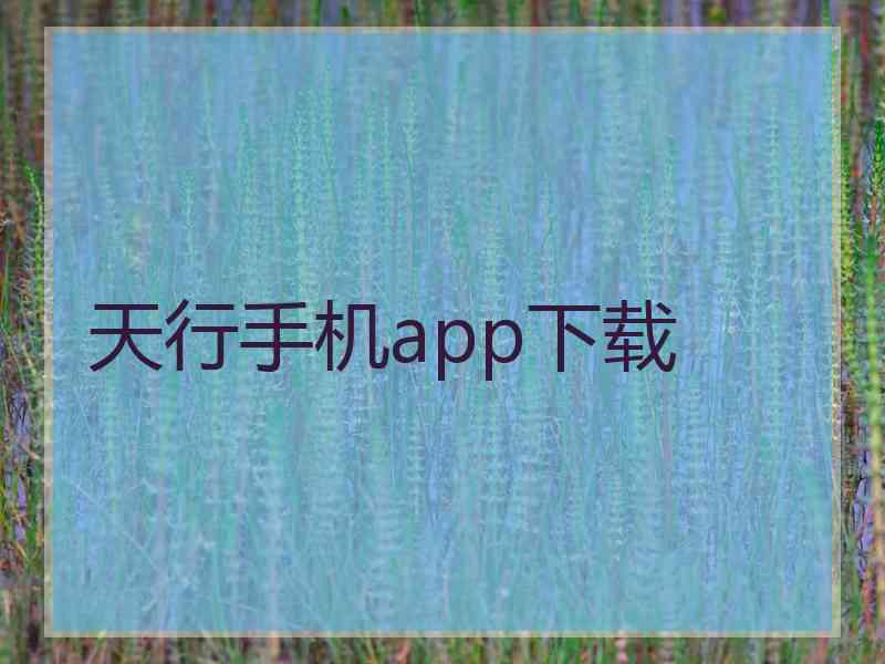 天行手机app下载