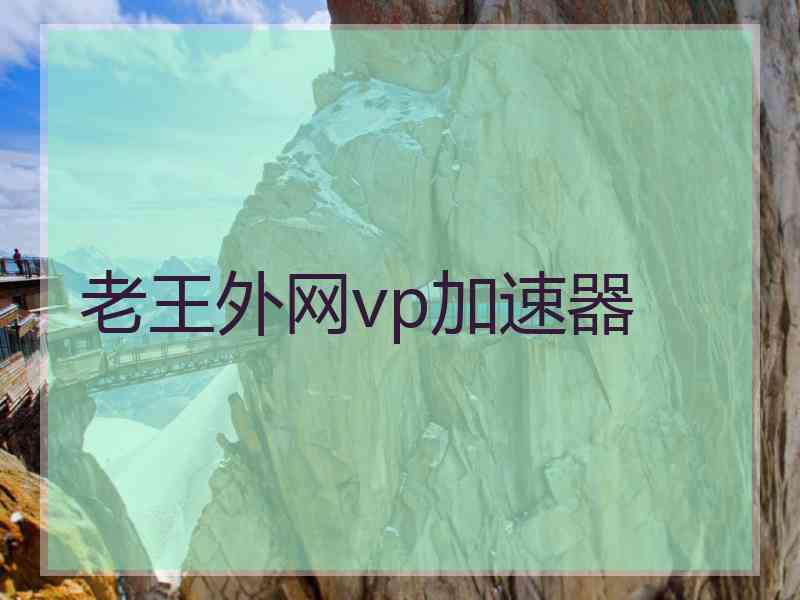 老王外网vp加速器