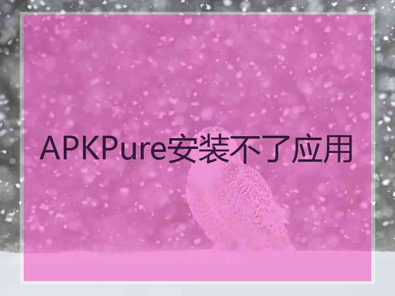 APKPure安装不了应用